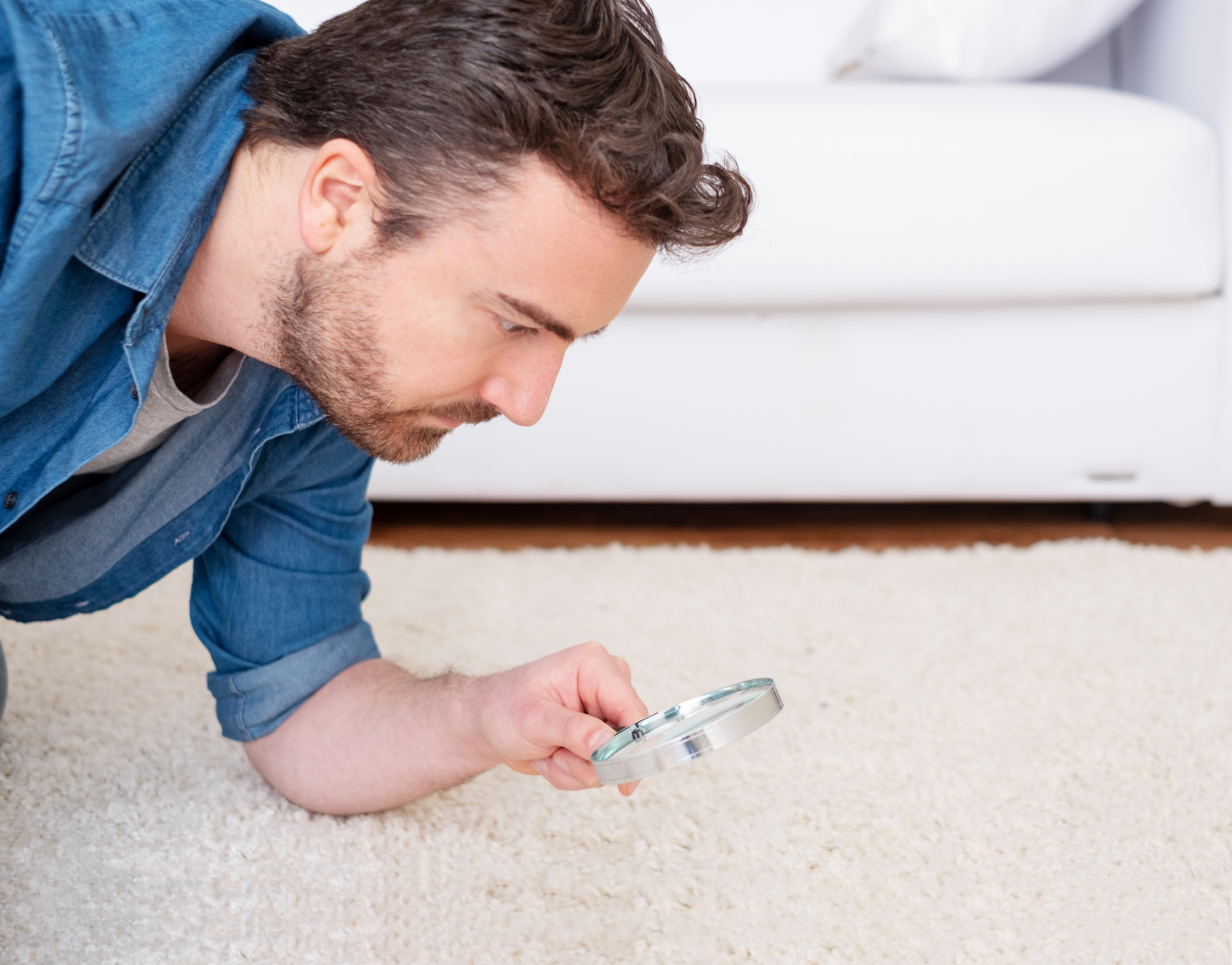 Man checking for carpet dust mites and bug parasites